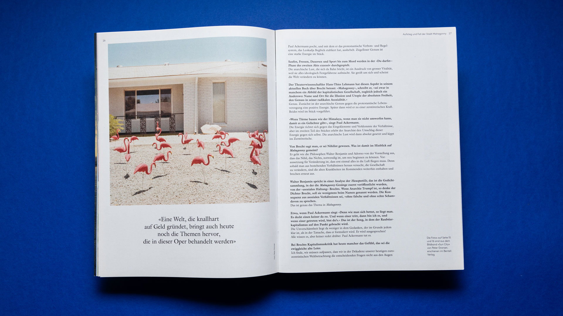 flamingo Magazine
